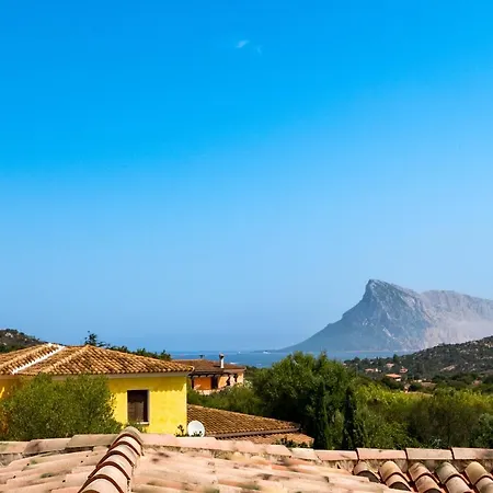 Levante & Est With Shared Pool - Happy Apartment Monte Petrosu