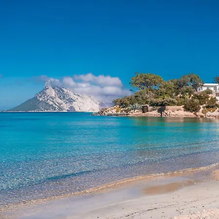 Levante & Est With Shared Pool - Happy *